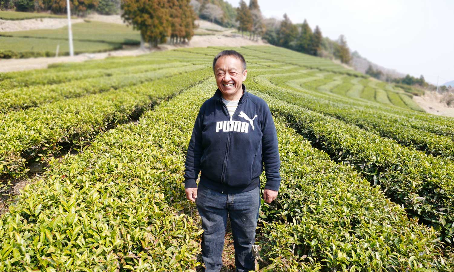 Takayuki Tarui, Tea Farmer